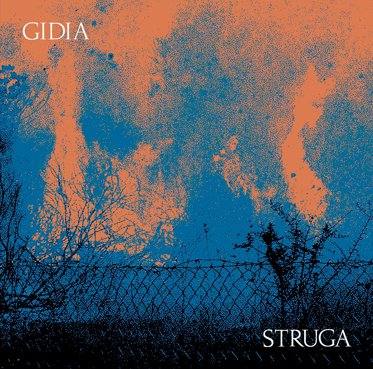 GIDIA - STRUGA - 2xLP - LIES-189