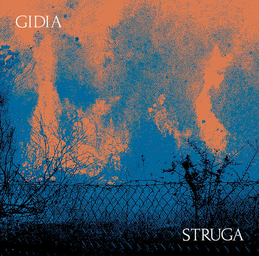 GIDIA - STRUGA - 2xLP - LIES-189