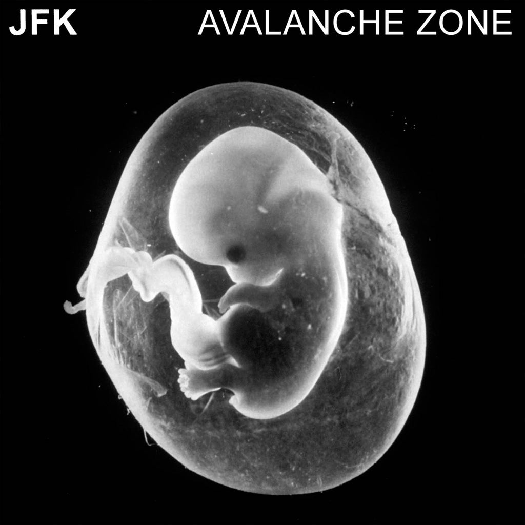JFK - Avalanche Zone -LP- LIES-140